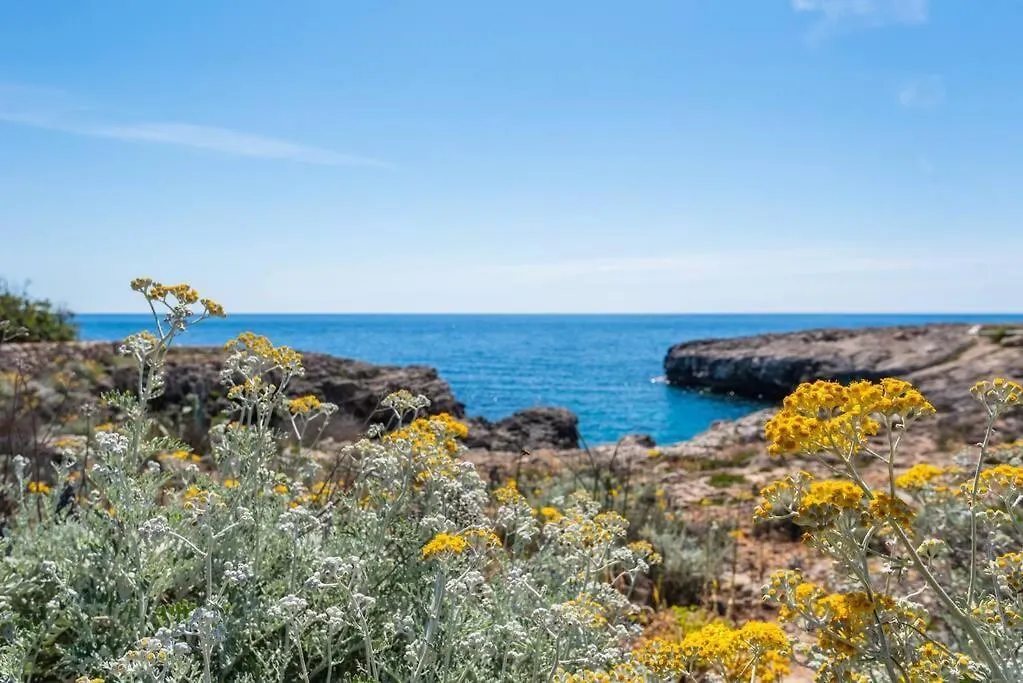 Villa Bini Chic Binibeca İspanya